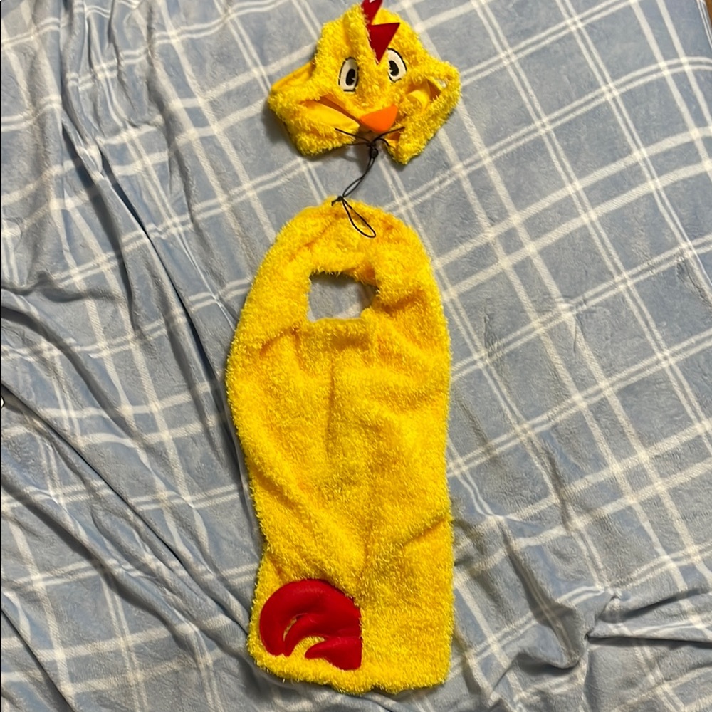 Large chicken dog costume